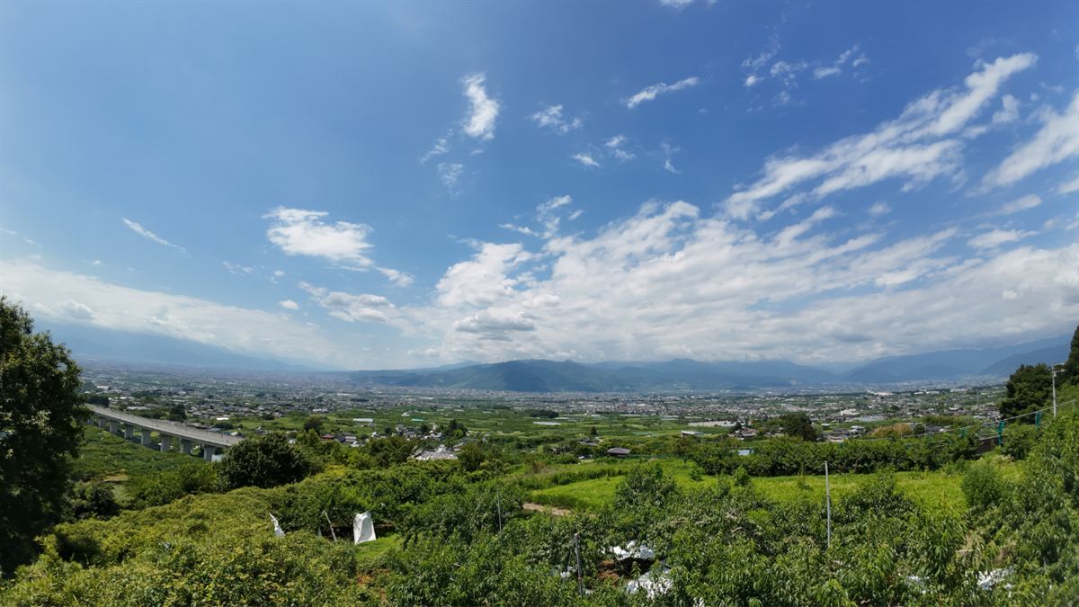 花鳥山一本杉公園の展望台から見た甲府盆地。眼下にリニア実験線の高架が伸びる（2026年7月19日）