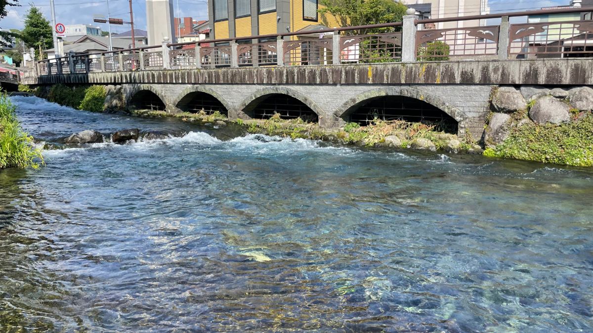 神田川ふれあい広場の澄んだ流れと、アーチ型の石橋
