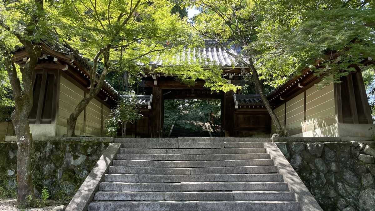 法輪寺の山門。石段の上に建ち、緑のもみじが両側から覆いかぶさっている