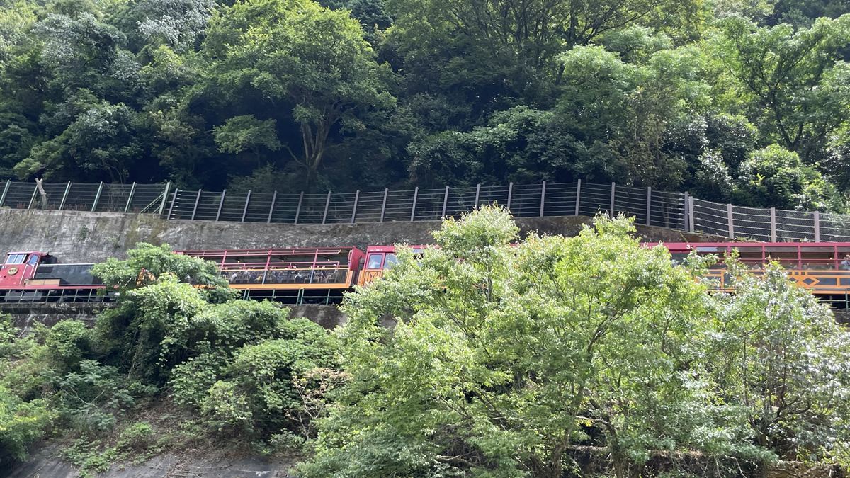 船から見上げた嵯峨野トロッコ列車。崖の上を機関車と客車が走っている