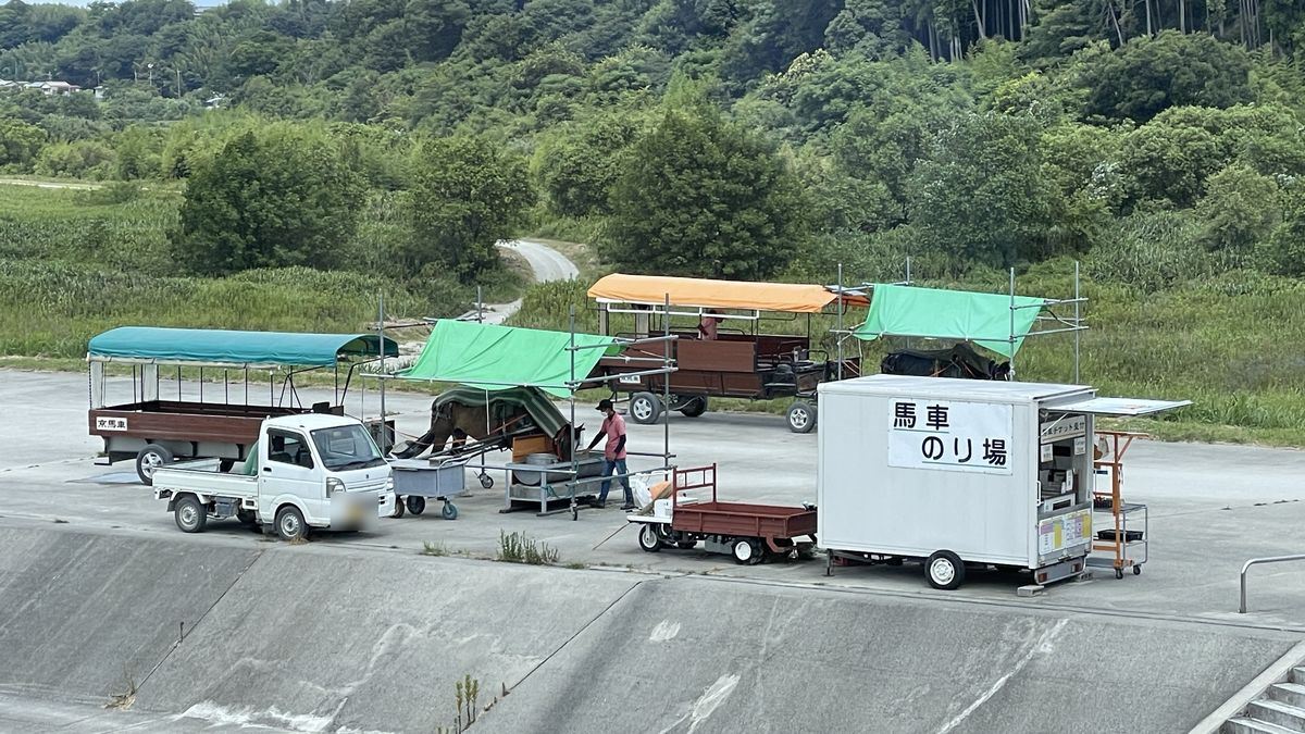 トロッコ亀岡駅前の京馬車のりば。日除けを張った馬車が並び、馬がつながれている