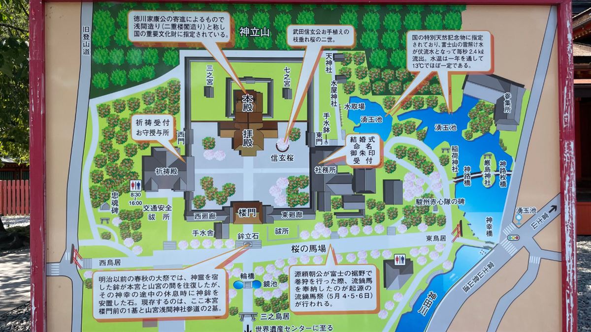 富士山本宮浅間大社の境内案内図。本殿・拝殿・楼門・湧玉池・信玄桜の位置が描かれている