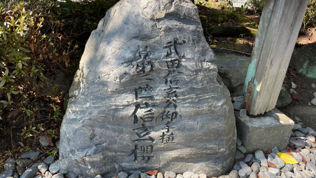 「武田信玄公御手植 第二世信玄櫻」と刻まれた石碑