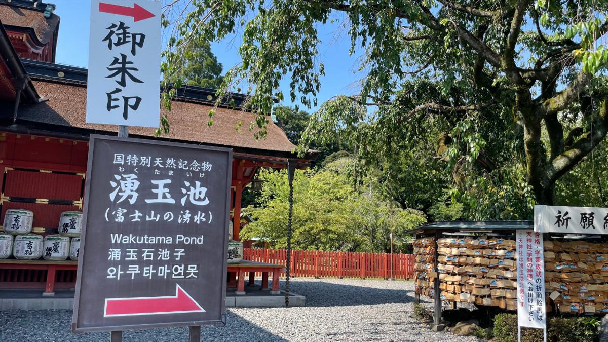 「御朱印」の幟と、「国特別天然記念物 湧玉池」の4か国語の案内板