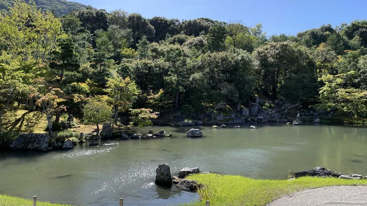 天龍寺の曹源池庭園。青空の下、池の向こうに嵐山の借景が広がる