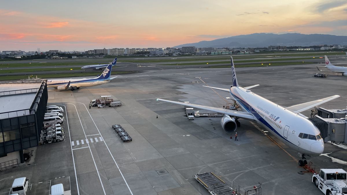 展望デッキから見下ろした、搭乗口に止まっているANAの飛行機。奥に滑走路と山並みがあり、空がピンク色に染まっている