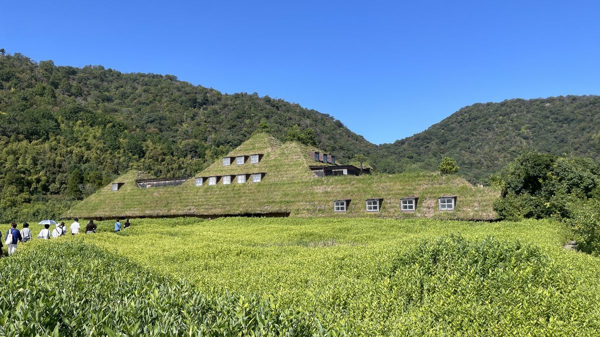 ラ コリーナ近江八幡のメインショップ。屋根が一面の草におおわれた建物の手前に、緑の植物が一面に広がっている