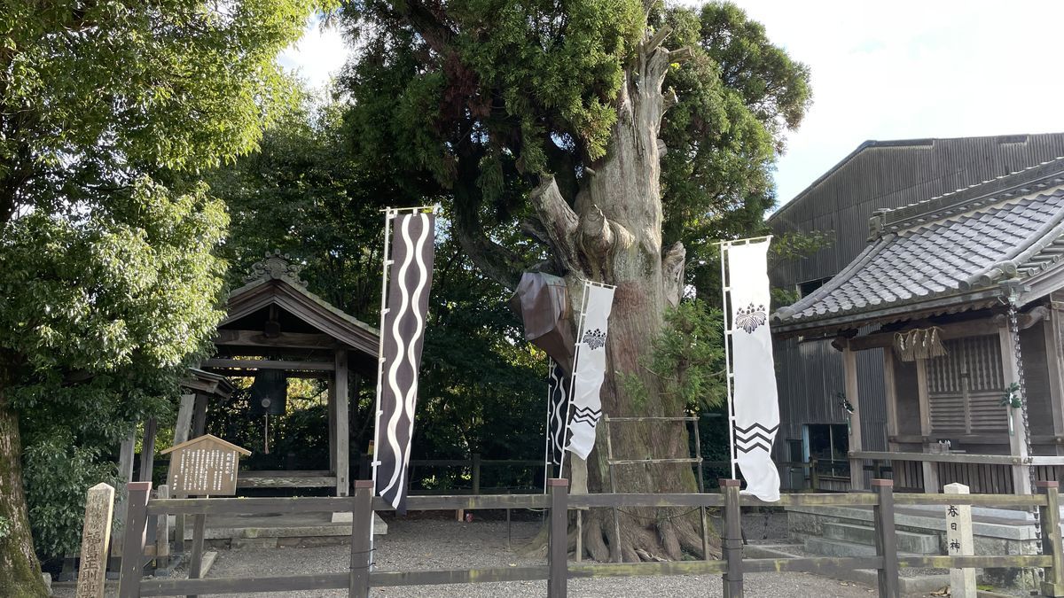 福島正則陣跡の春日神社。大きな木のまわりに黒と白ののぼりが立ち、右に社殿、手前に木の柵がある