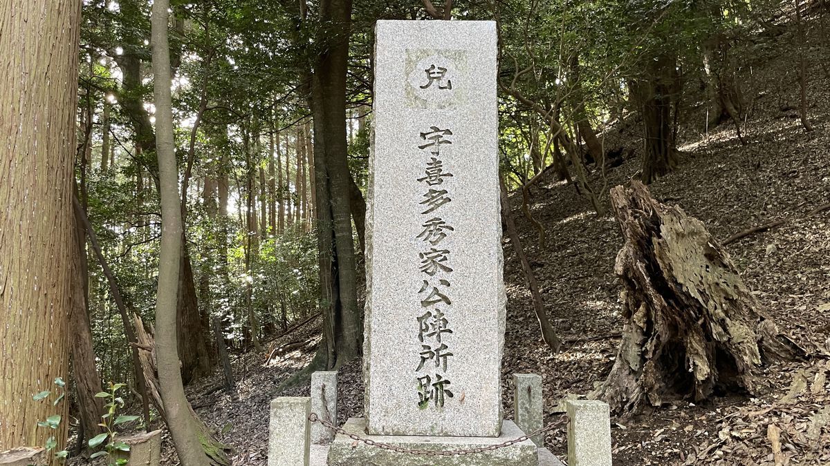 宇喜多秀家陣跡の石碑「宇喜多秀家公陣所跡」。森の中の落ち葉の坂に立ち、石の柵と鎖に囲まれている