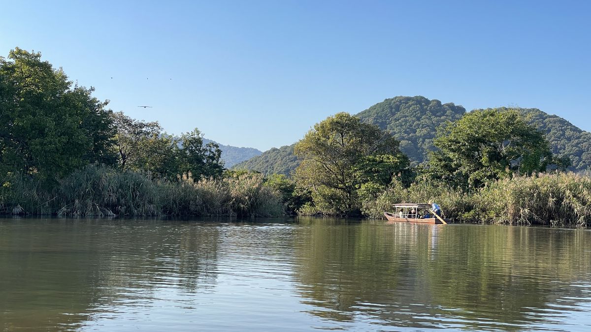 ヨシに囲まれた開けた水面。奥に緑の山が見え、遠くに別の舟が浮かんでいる