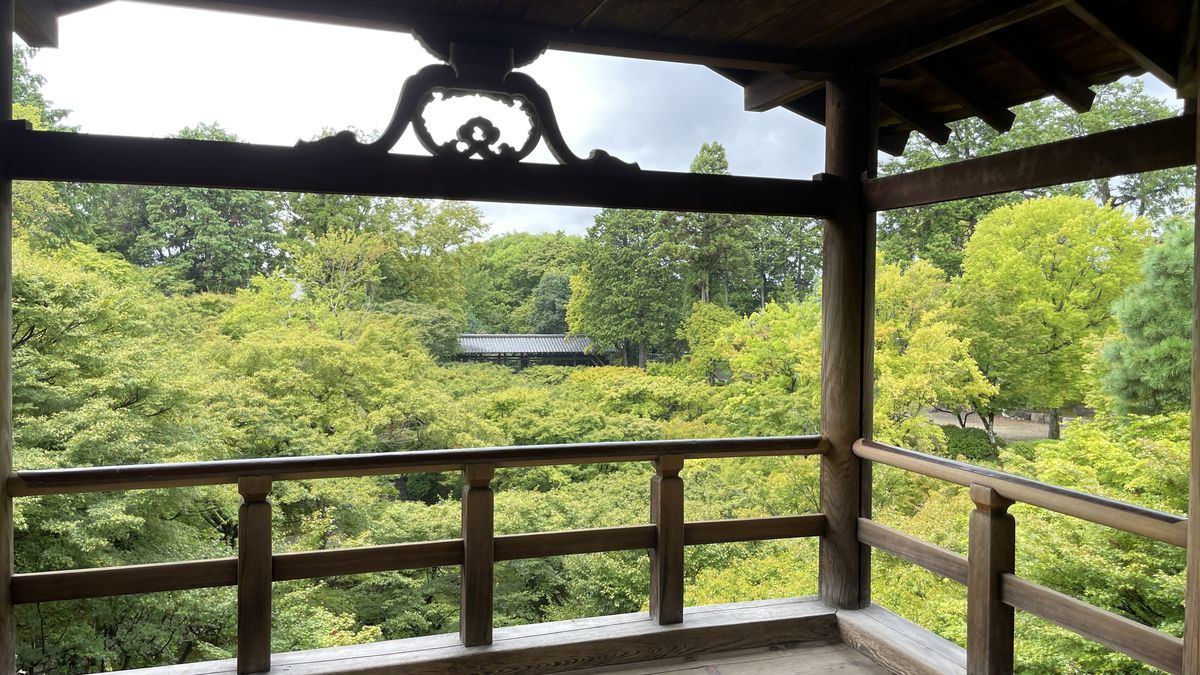 東福寺の通天橋の上から見た谷。柱と欄干の向こうに、青もみじが一面に広がっている